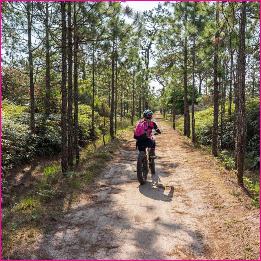 Mobilhome 2Ch Climatise-Terrasse Fermee-4 Velos-Camping 4 Etoiles Les Charmettes Les Mathes Kültér fotó